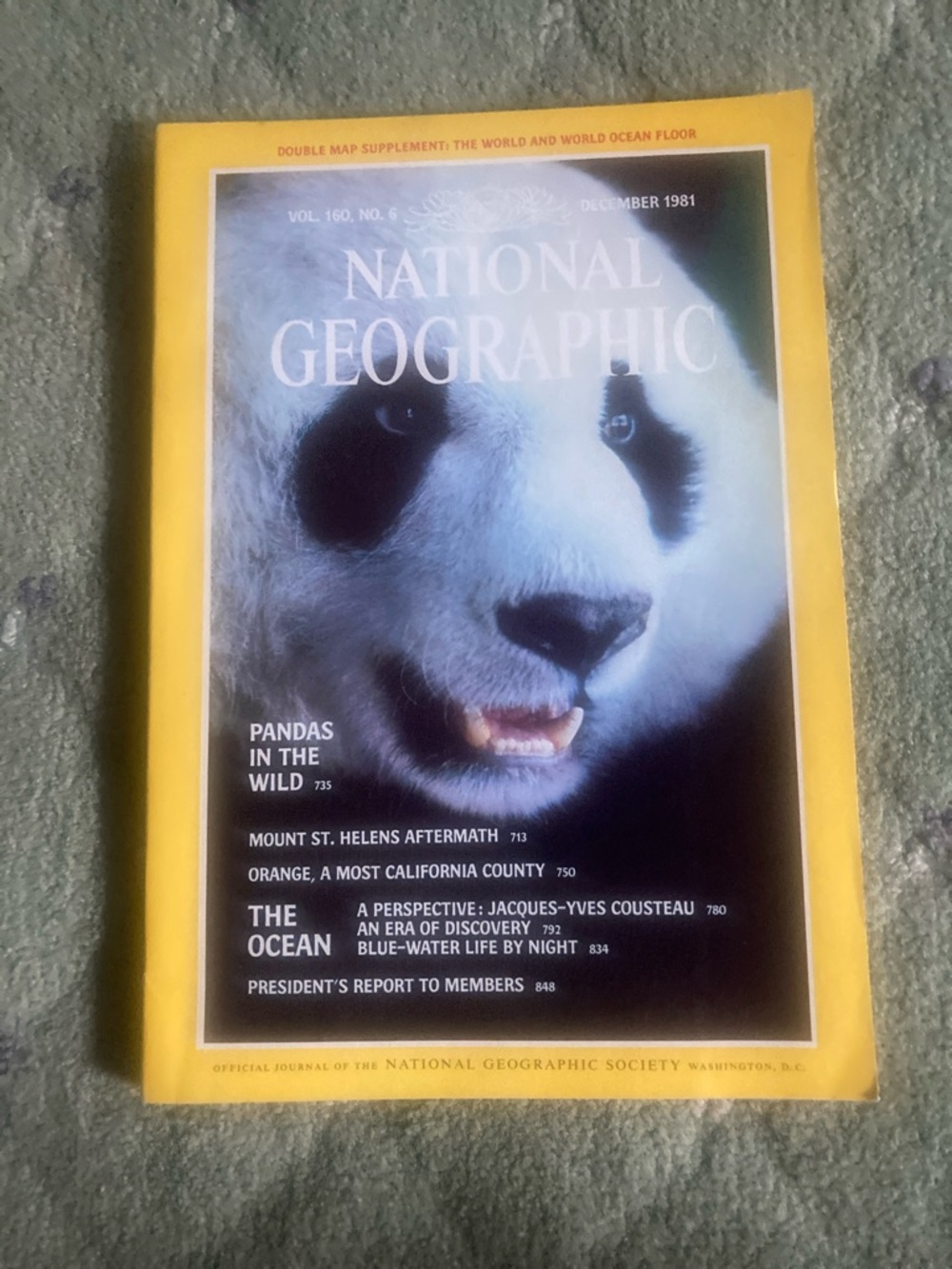 Vintage National Geographic about Pandas
